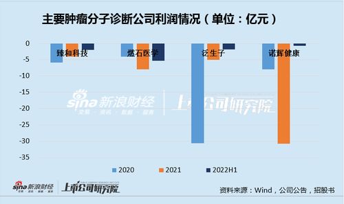 臻和科技IPO之路 三年虧損、同質(zhì)化競(jìng)爭(zhēng)與高企銷售費(fèi)用下的生存挑戰(zhàn)